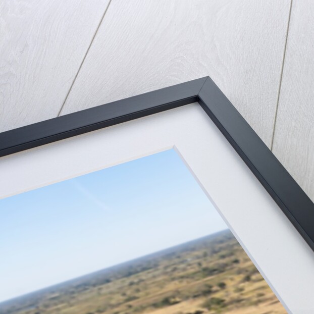Aerial view of Okavango Delta by Anonymous