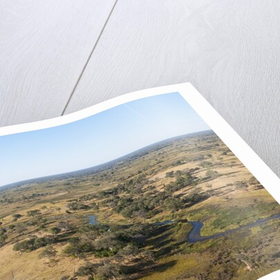 Aerial view of Okavango Delta by Anonymous