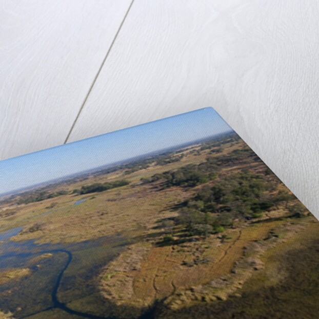 Aerial view of Okavango Delta by Anonymous