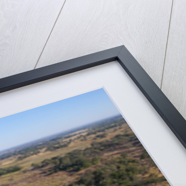 Aerial view of Okavango Delta by Anonymous