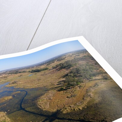 Aerial view of Okavango Delta by Anonymous
