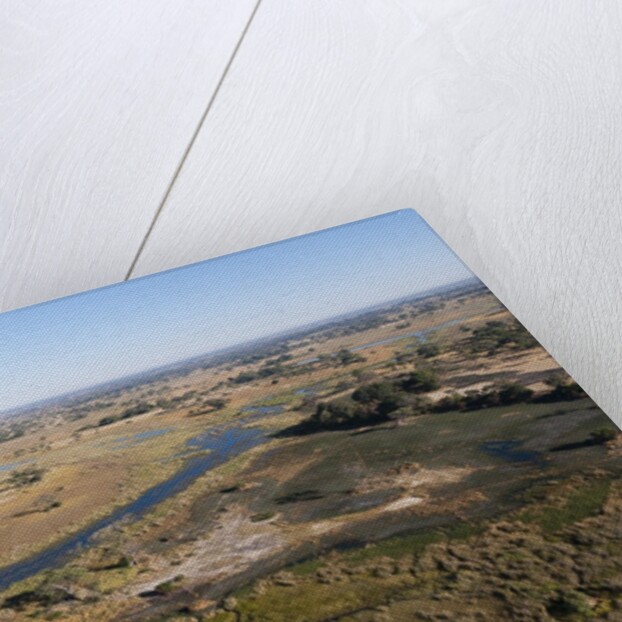 Aerial view of Okavango Delta by Anonymous