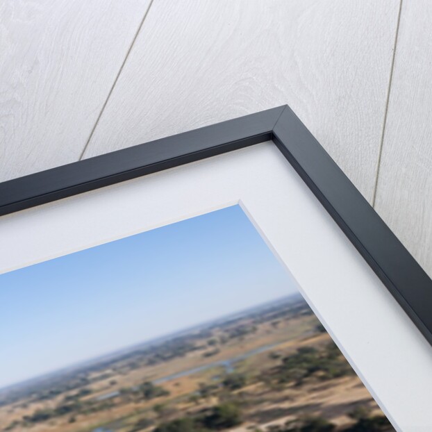 Aerial view of Okavango Delta by Anonymous