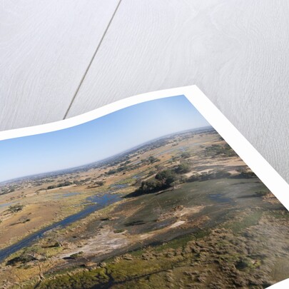 Aerial view of Okavango Delta by Anonymous