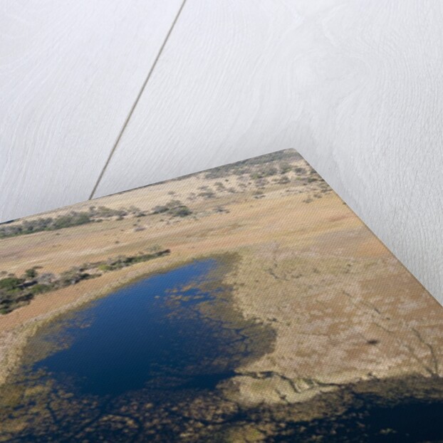 Aerial view of Okavango Delta by Anonymous