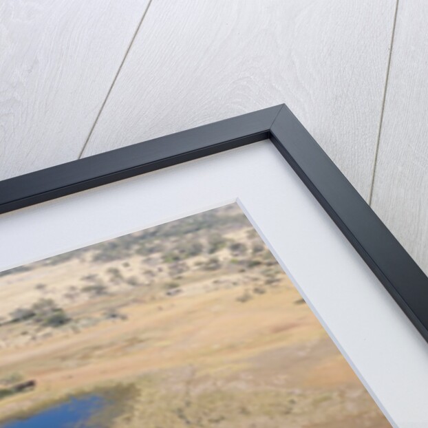 Aerial view of Okavango Delta by Anonymous