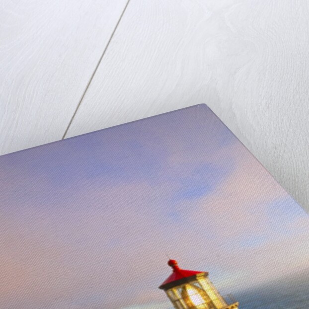 Heceta Head Lighthouse, Oregon Coast, Pacific Ocean, Pacific Northwest by Anonymous