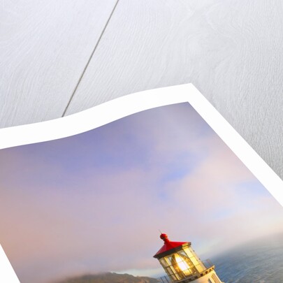 Heceta Head Lighthouse, Oregon Coast, Pacific Ocean, Pacific Northwest by Anonymous