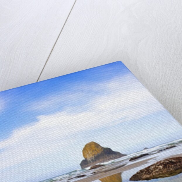 Starfish and rock formations along Indian Beach, Oregon Coast by Anonymous