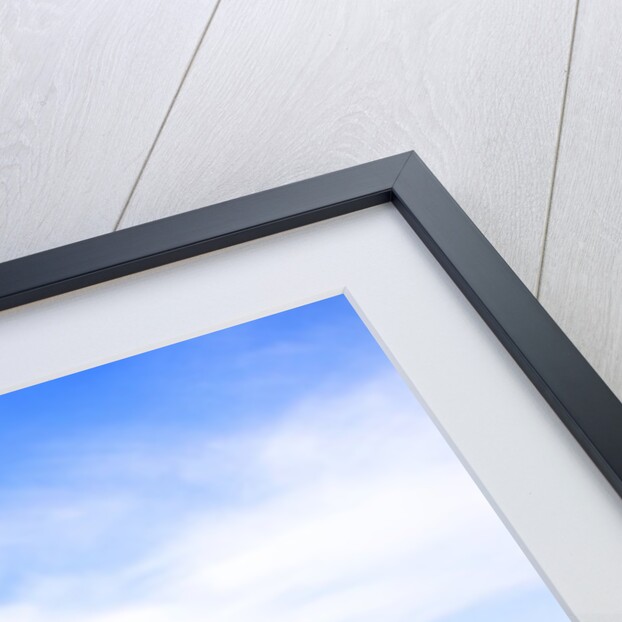 Starfish and rock formations along Indian Beach, Oregon Coast by Anonymous