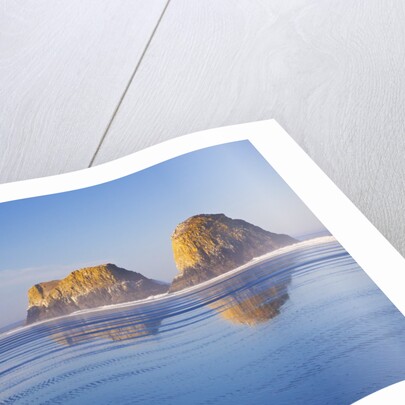Crescent Beach along Ecola State Park, Oregon Coast, Pacific Ocean by Anonymous