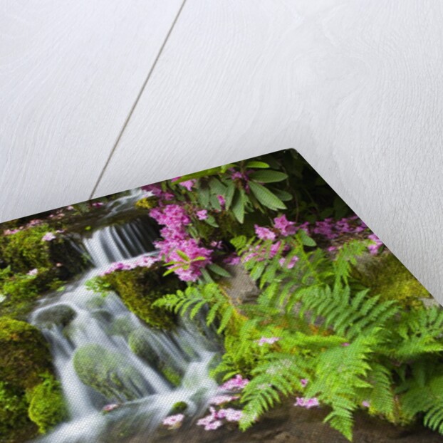 spring flowers add beauty to waterfall at Crystal Springs Garden, Portland Oregon. Pacific Northwest by Anonymous