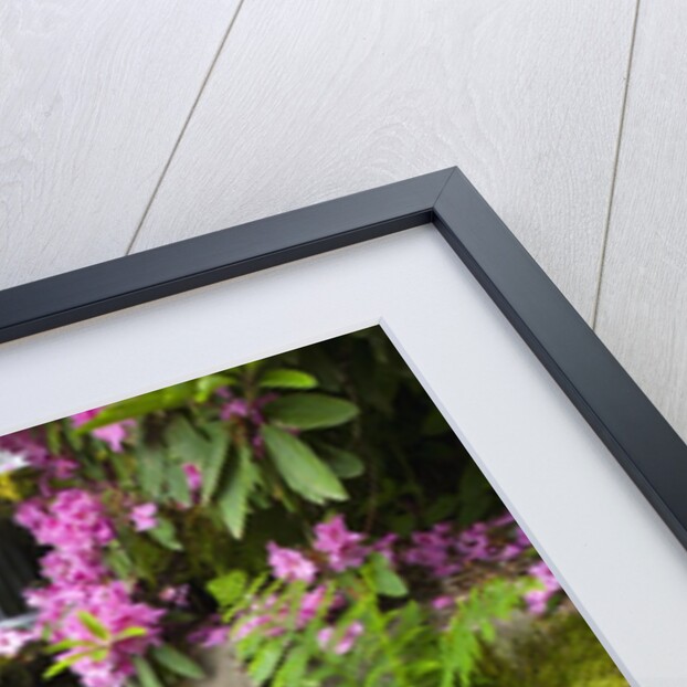 spring flowers add beauty to waterfall at Crystal Springs Garden, Portland Oregon. Pacific Northwest by Anonymous