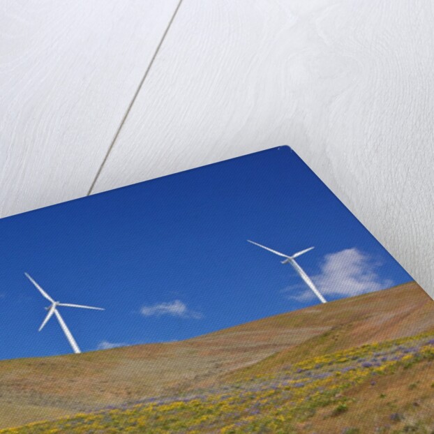 electric wind turbine in Columbia River National Scenic Area, Washington State. Pacific Northwest by Anonymous