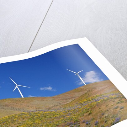 electric wind turbine in Columbia River National Scenic Area, Washington State. Pacific Northwest by Anonymous