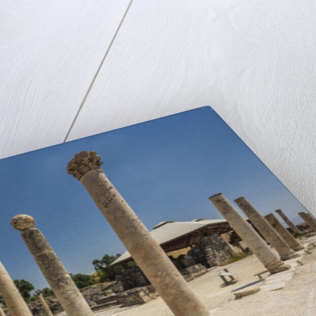 Beit She'an National Park (Scythopolis), the Western Bathhouse by Anonymous