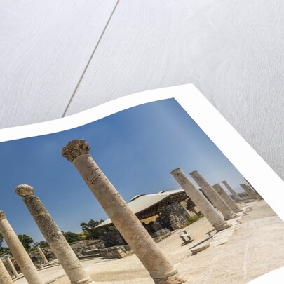 Beit She'an National Park (Scythopolis), the Western Bathhouse by Anonymous