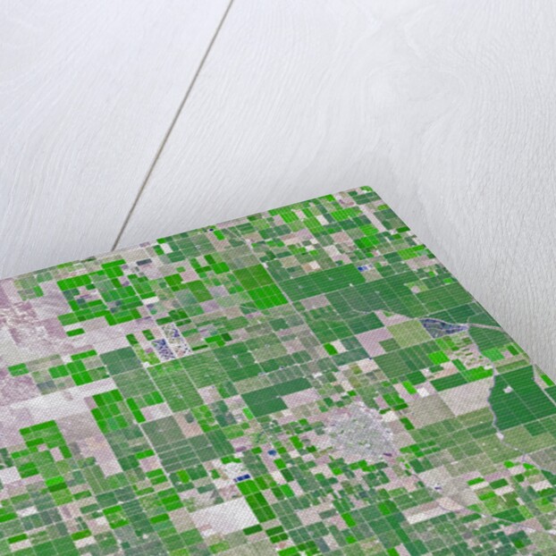 Agricultural fields near Wasco, California by Anonymous