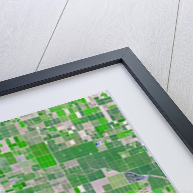 Agricultural fields near Wasco, California by Anonymous
