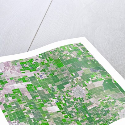 Agricultural fields near Wasco, California by Anonymous
