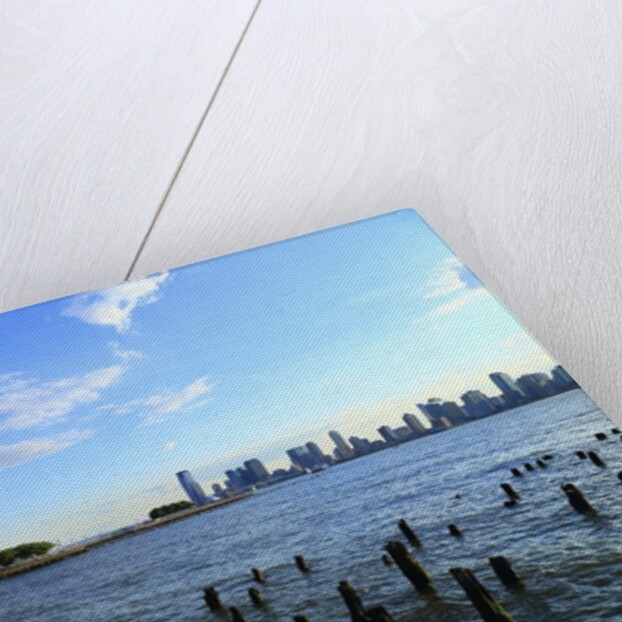 Downtown view with the Freedom tower from the Hudson River greenway by Anonymous