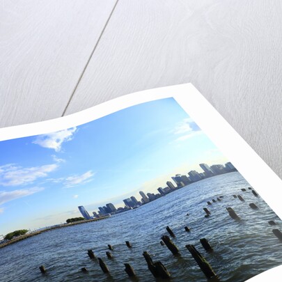 Downtown view with the Freedom tower from the Hudson River greenway by Anonymous