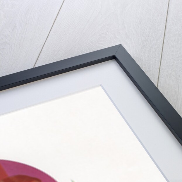 Biology in the Lab by Anonymous