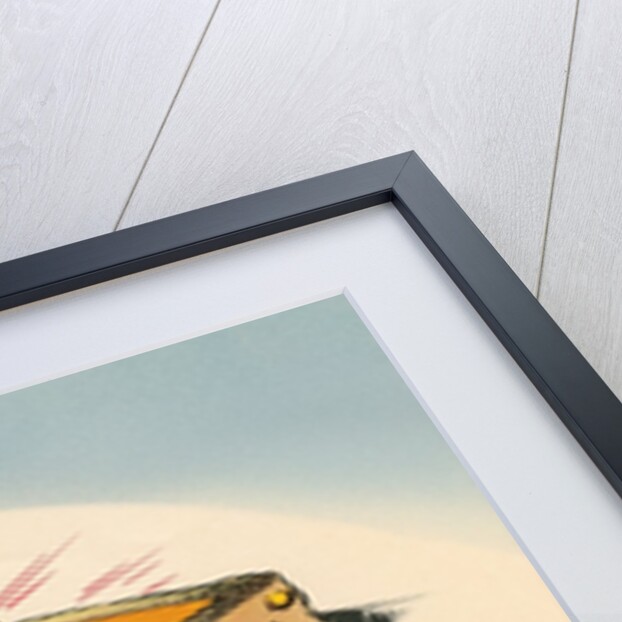 Coal, The Treasure Chest of Chemistry by Anonymous