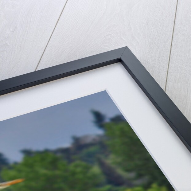 Blue Heron flying by Anonymous