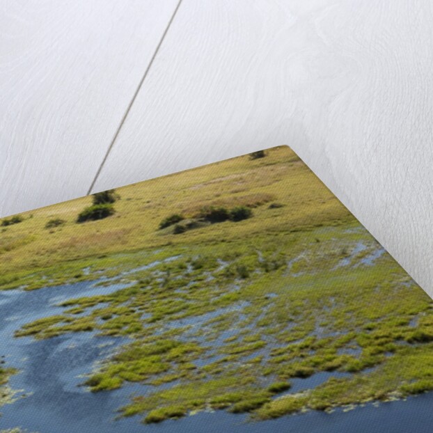 Okavango Delta Aerial by Anonymous