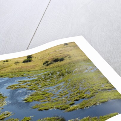 Okavango Delta Aerial by Anonymous