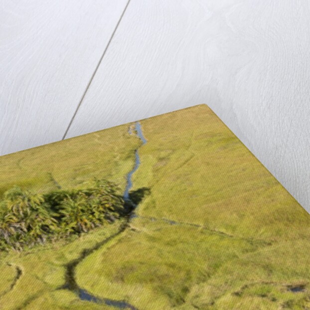 Okavango Delta Aerial by Anonymous