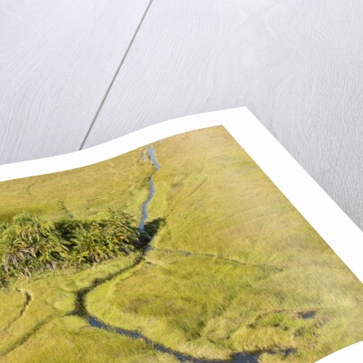 Okavango Delta Aerial by Anonymous