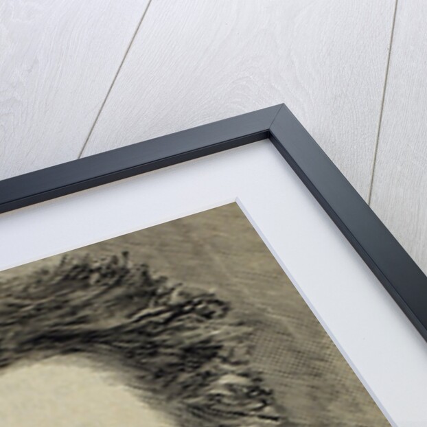 PASTEUR, Louis (1822-1895) French chemist and bacteriologist. by Anonymous