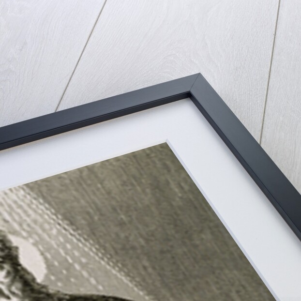 Saint Damasus I, (304-384). Roman pope (366-384). by Anonymous