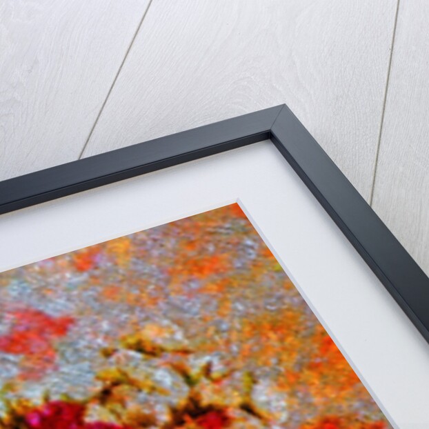 Flower Vase by Anonymous