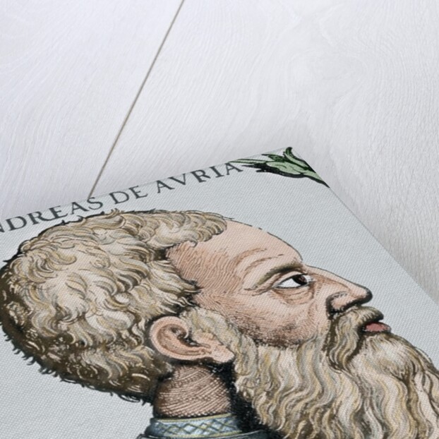 Andrea Doria (1466-1560). Italian condottiero and admiral from Genoa. by Anonymous