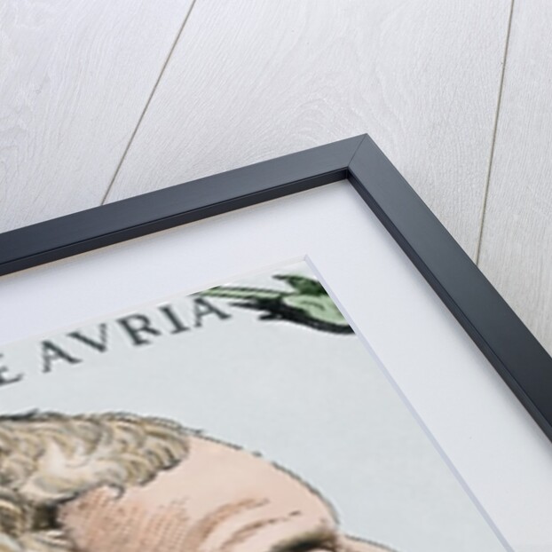 Andrea Doria (1466-1560). Italian condottiero and admiral from Genoa. by Anonymous