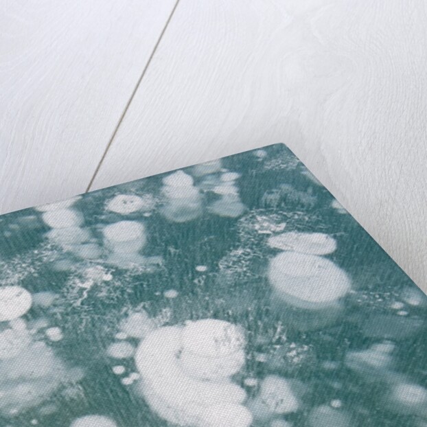 Ice Bubbles by Anonymous