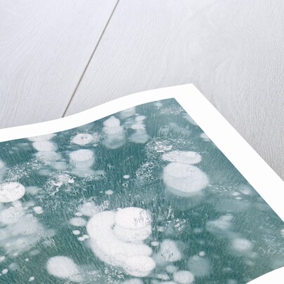 Ice Bubbles by Anonymous