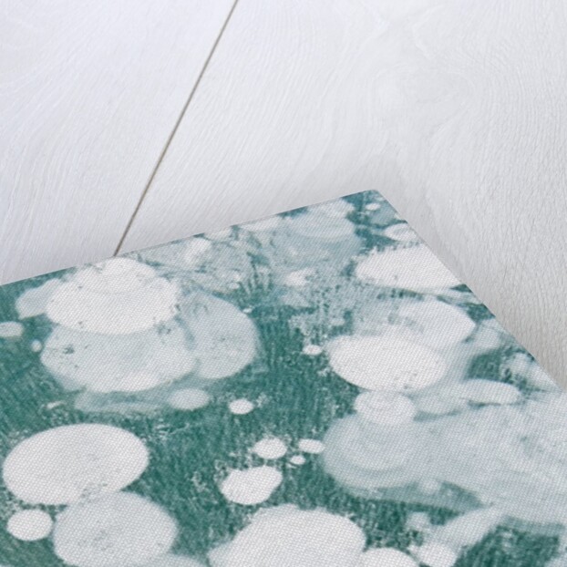 Ice Bubbles by Anonymous