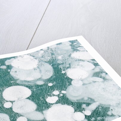 Ice Bubbles by Anonymous