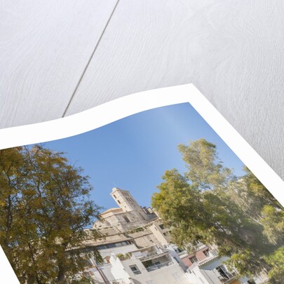 Balearic Islands - view of Dalt Vila (the old town) and the Cathedral by Anonymous