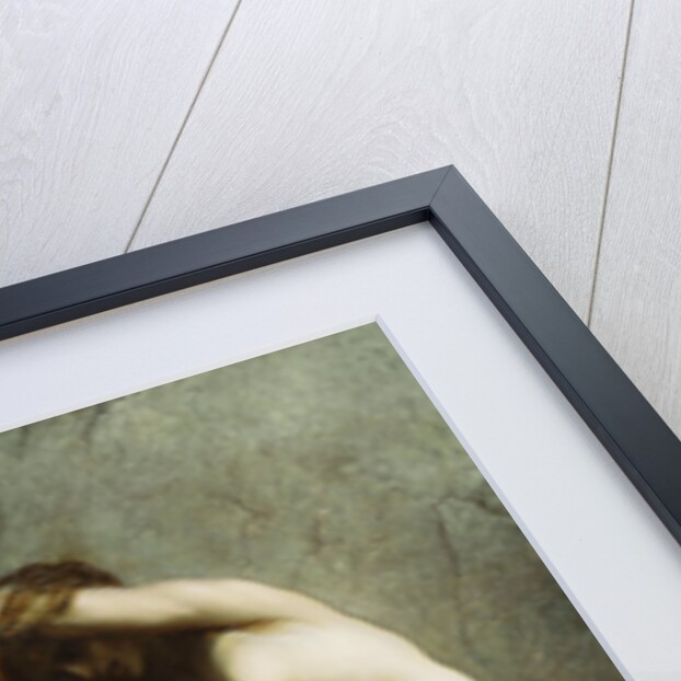 Andromeda by Gustave Dore