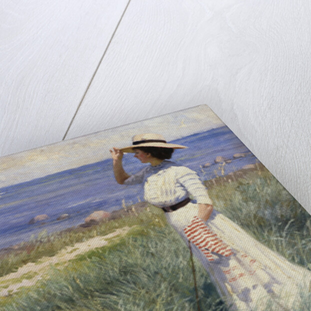 Looking out to Sea by Paul Fischer