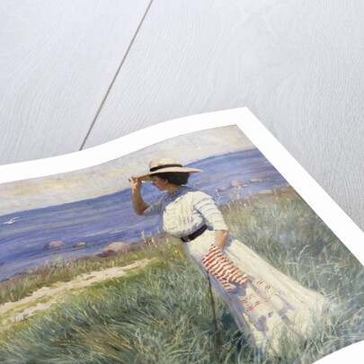 Looking out to Sea by Paul Fischer