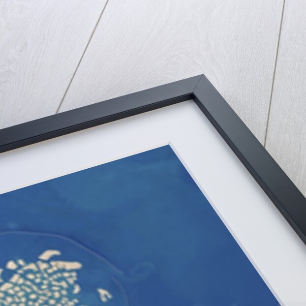 Palm Jumeirah and The World artificial islands in Dubai by Anonymous