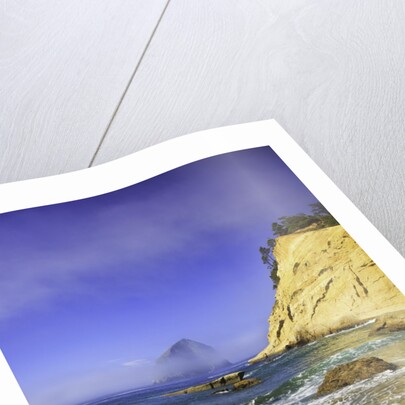Haystack Rock, Cape Kiwanda, Oregon Coast, Pacific Ocean, Pacific Northwest by Anonymous