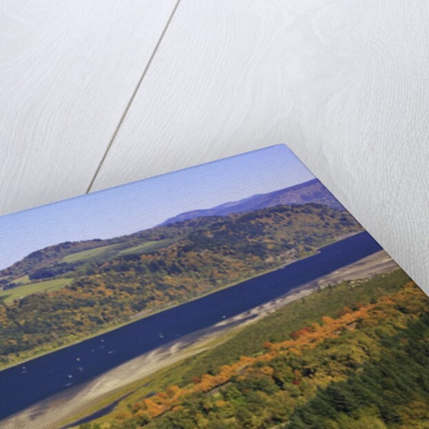 Looking East up the Columbia River, Columbia River Gorge National Scenic Area, Oregon by Anonymous
