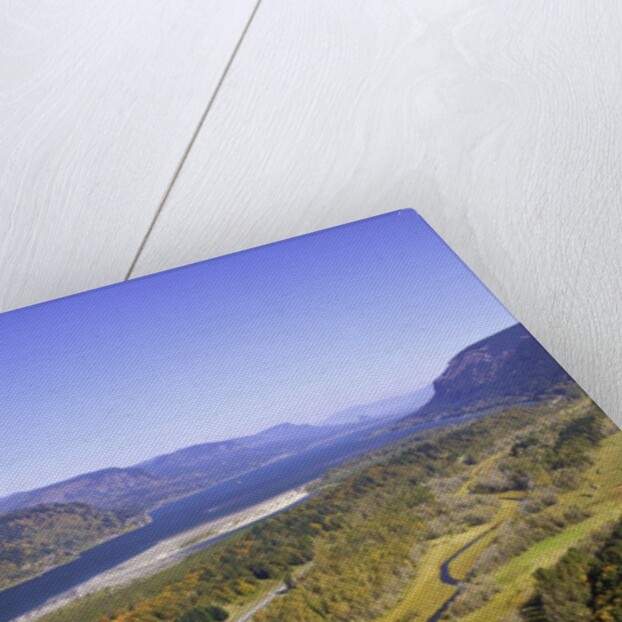 Looking East up the Columbia River, Columbia River Gorge National Scenic Area, Oregon by Anonymous